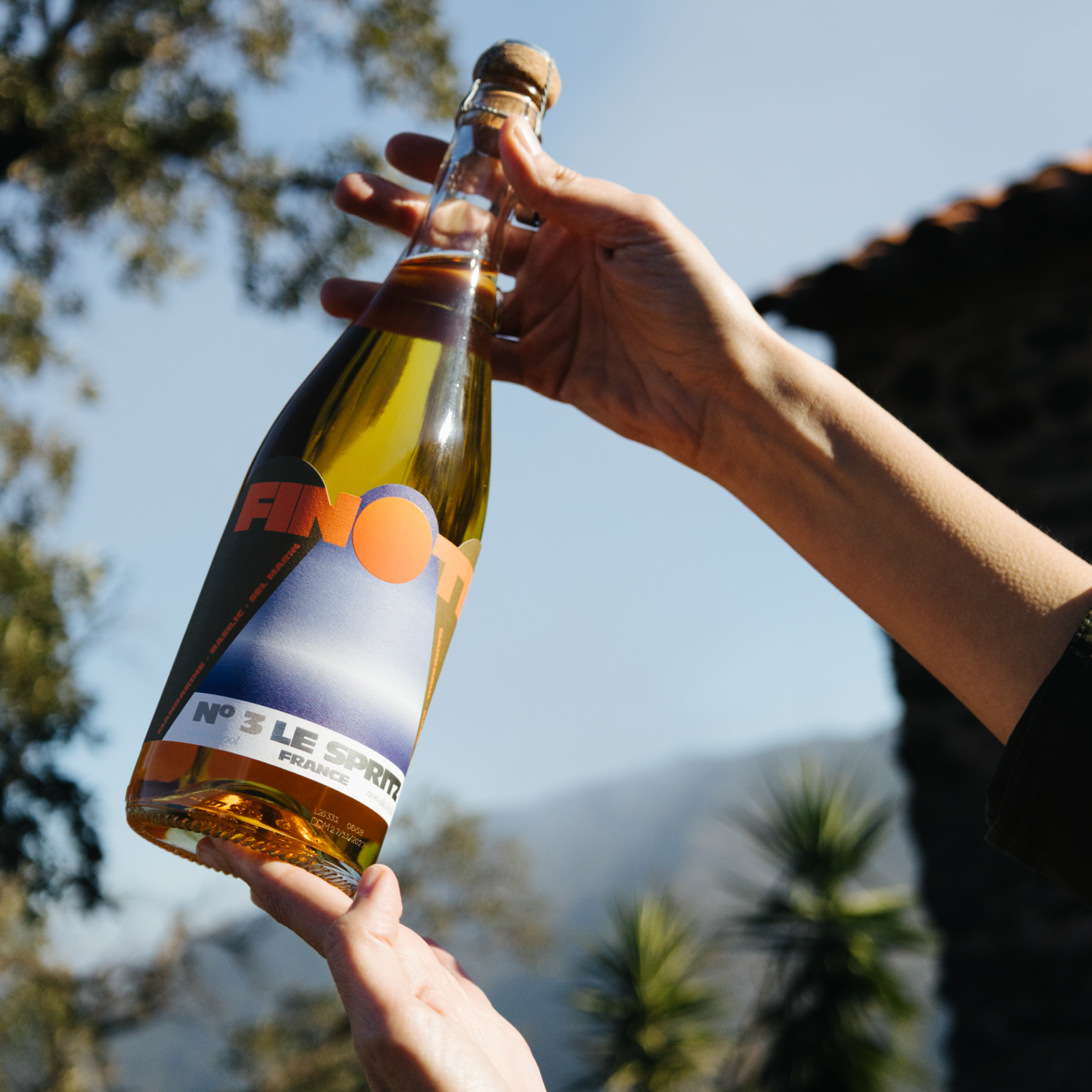Nr. 3 Der Spritz · Mandarine · Basilikum · Camargue-Salz | Alkoholfrei
