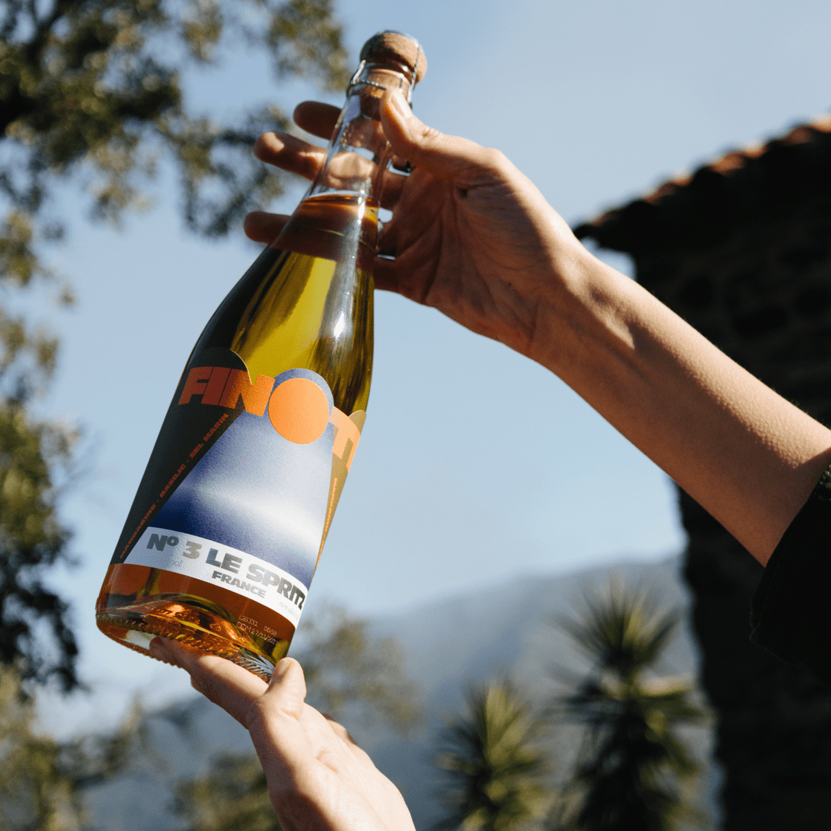 N°3 Le Spritz Sans Alcool | Acidulé · Salin I Apéritif Botanique FINOTE